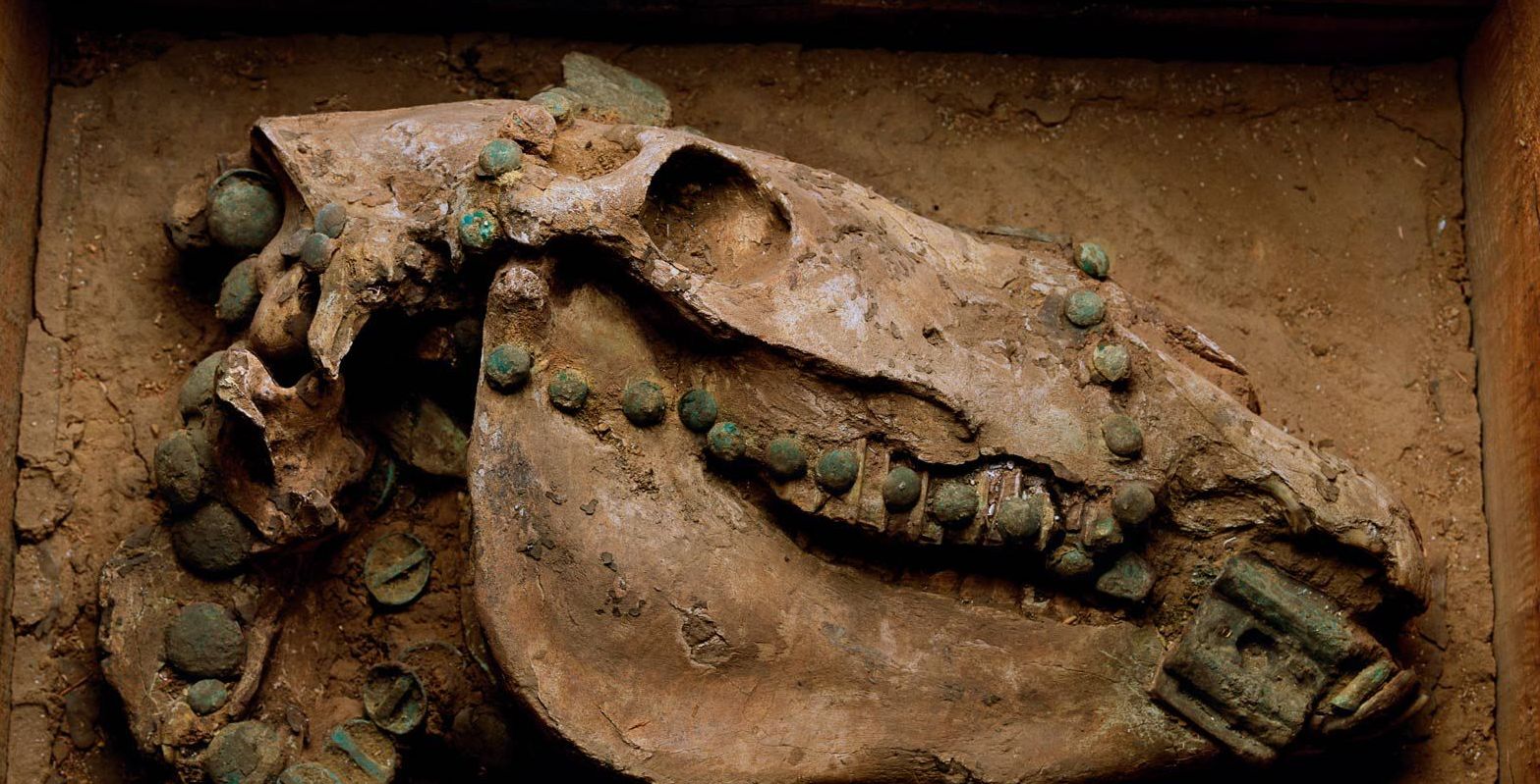 f592ec699ffac84efd430e7657b26e88